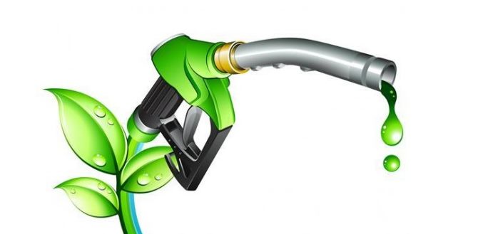 Биотопливо - горючее для биокаминов